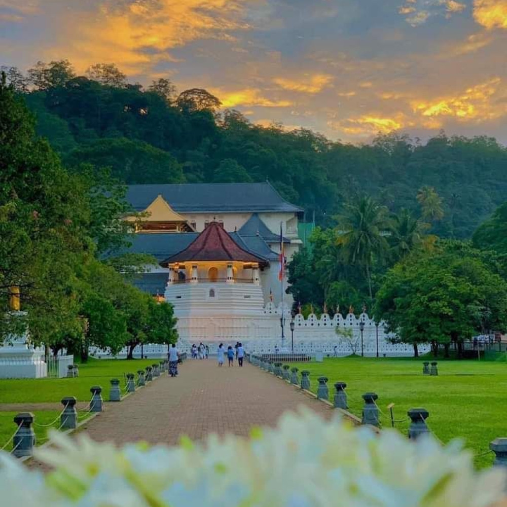 Sri Lanka tour packages